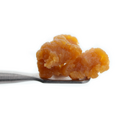 Budder - Amnesia Haze | 1g Dab