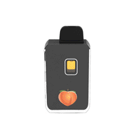 1ml Giant Peach Etched Disposable Vape